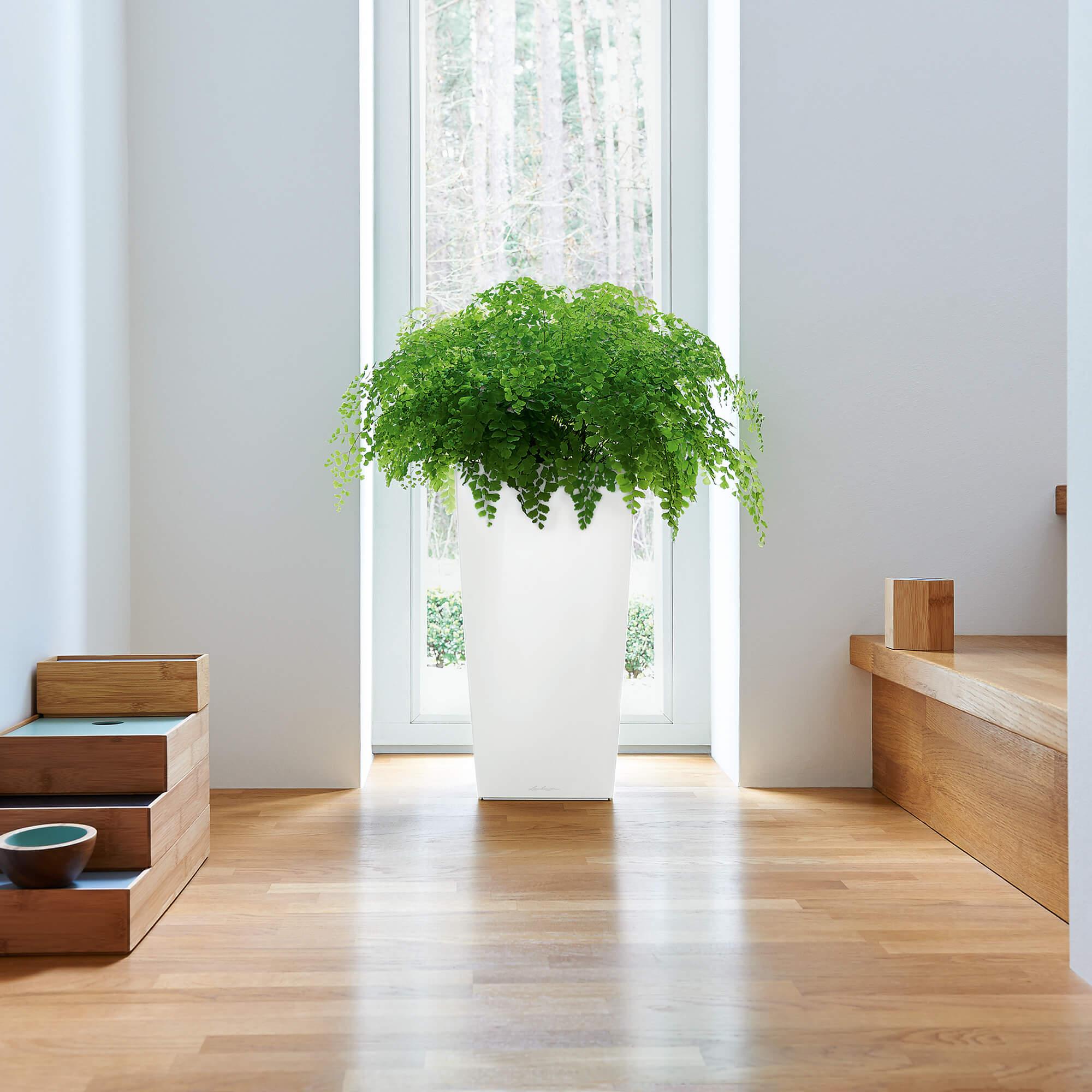 le_cubico22_product_addi_01